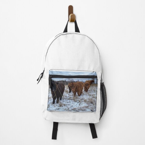 Item preview, Scottish Highland Cattle Calves 2640 designed and sold by SaarelaHighland.