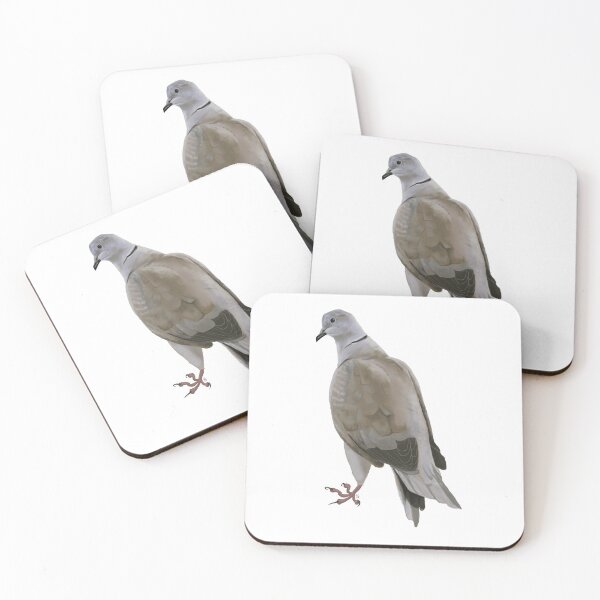 Item preview, Dove Bird Scientific illustration - Streptopelia decaocto designed and sold by clorofila.