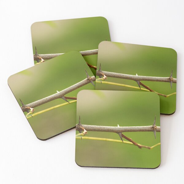 Item preview, Thorny branch designed and sold by Asaha17.