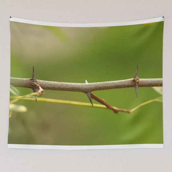 Item preview, Thorny branch designed and sold by Asaha17.