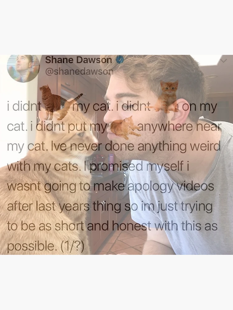 Shane Dawson Cat” Sticker for Sale by chaosxr | Redbubble