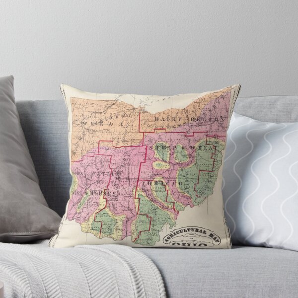 Item preview, Old Ohio Agricultural Map (1872) Vintage OH Farming Atlas designed and sold by BravuraMedia.