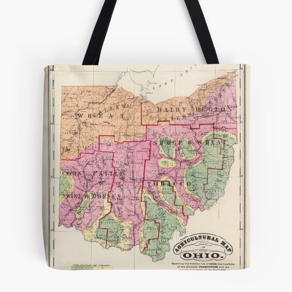 Item preview, Old Ohio Agricultural Map (1872) Vintage OH Farming Atlas designed and sold by BravuraMedia.