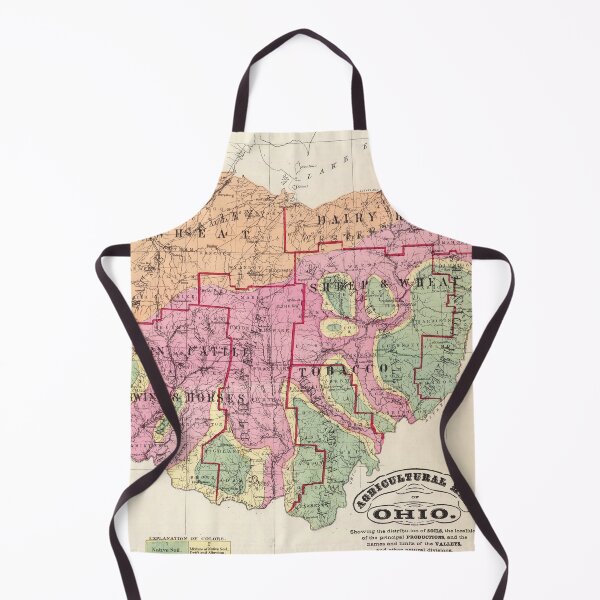 Item preview, Old Ohio Agricultural Map (1872) Vintage OH Farming Atlas designed and sold by BravuraMedia.