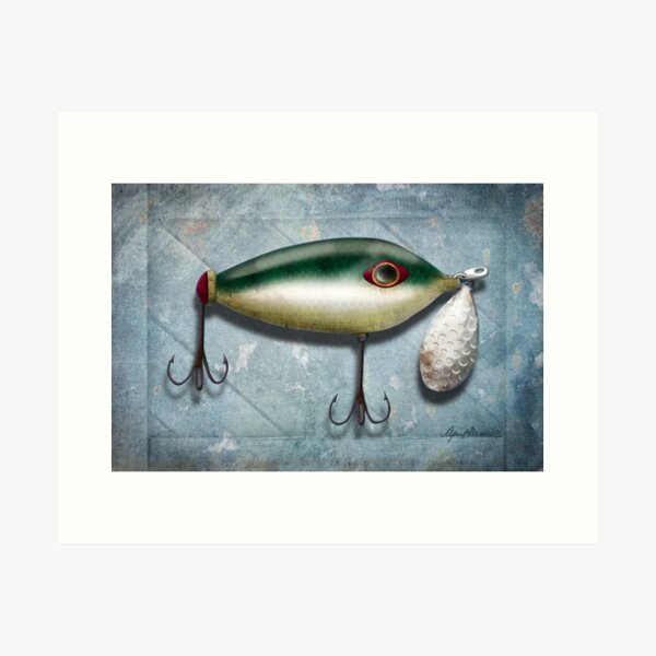 Vintage Brown Trout Fly Fishing Lure Patent Game Fish Identification Chart  Art Print