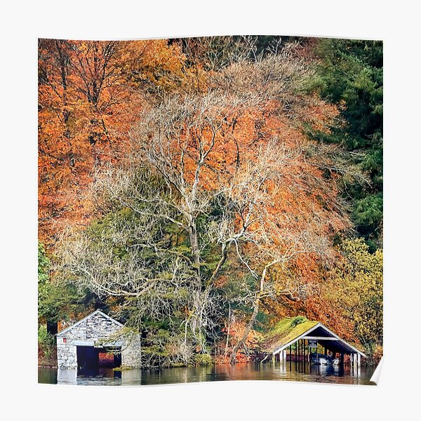 Boat houses on the lake Poster