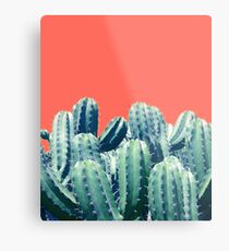Cactus on Coral #redbubble #lifestyle Metal Print