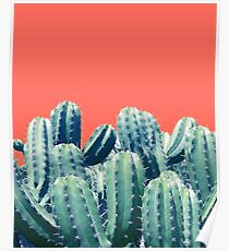 Cactus on Coral #redbubble #lifestyle Poster