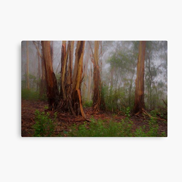 Item preview, Byways are My Ways  - Mount Wilson  NSW - The HDR Experience designed and sold by Salieri1627.