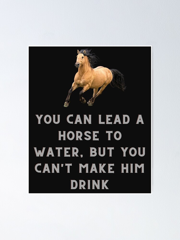 "You can lead a horse to water, but you can't make him drink" Poster for Sale by FashionHoodie