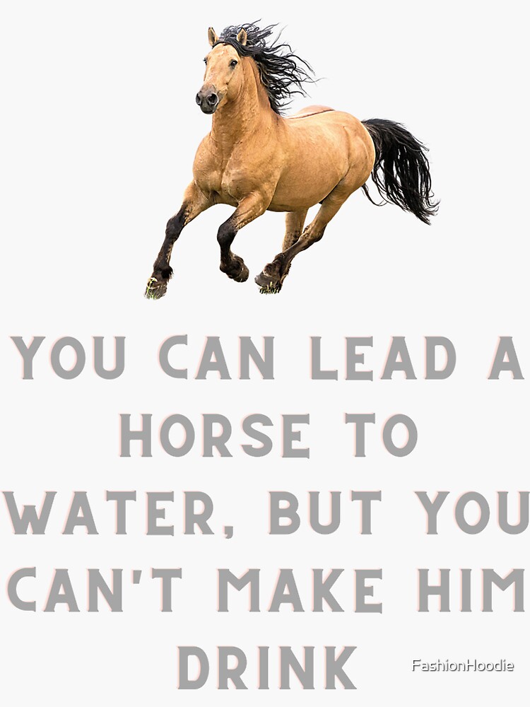 "You can lead a horse to water, but you can't make him drink" Sticker