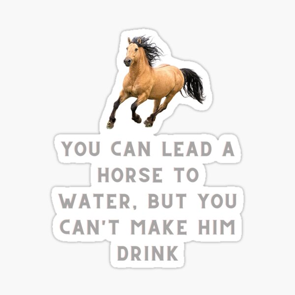 "You can lead a horse to water, but you can't make him drink" Sticker by FashionHoodie Redbubble