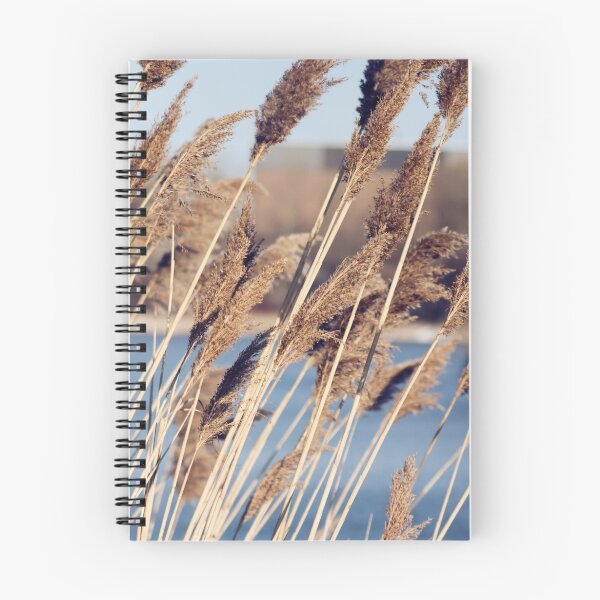 Item preview, bulrushes growing in a marsh designed and sold by LevyAmanda.