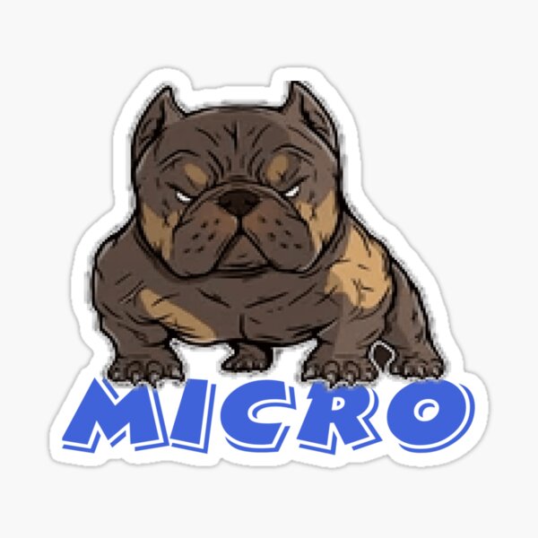 micro exotic bully