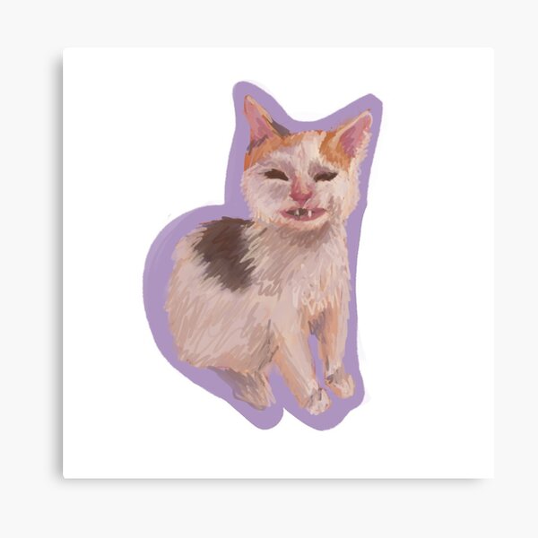 I draw the angry cat no banana meme Photographic Print for Sale