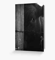 a little shy... Greeting Card