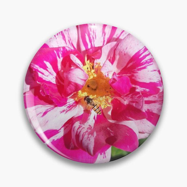 Item preview, Rose designed and sold by jdphotos.