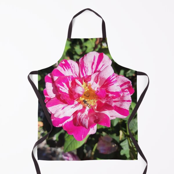 Item preview, Rose designed and sold by jdphotos.