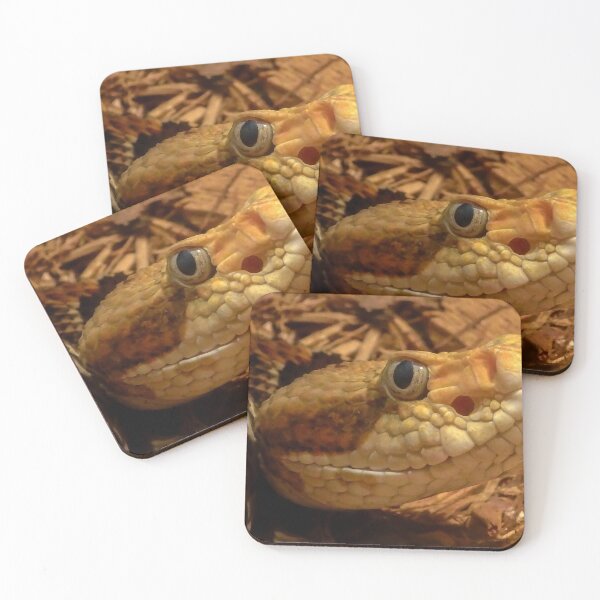 Item preview, Timber Rattle snake headshot (Crotalus horridus) designed and sold by Priapulida.