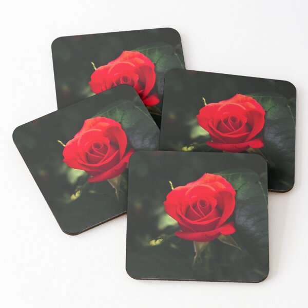 Item preview, Beautiful red rose in morning sun designed and sold by DopeDesign111.