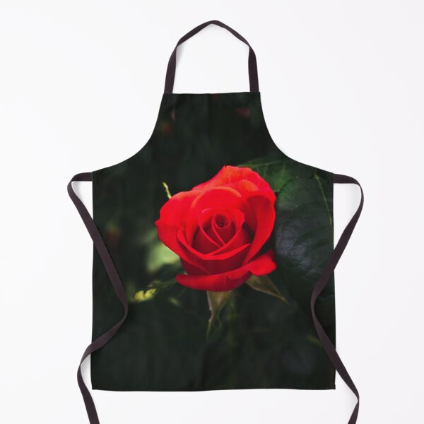 Item preview, Beautiful red rose in morning sun designed and sold by DopeDesign111.