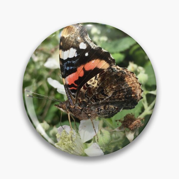 Item preview, Red Admiral taking a break  designed and sold by Lolabloodflower.