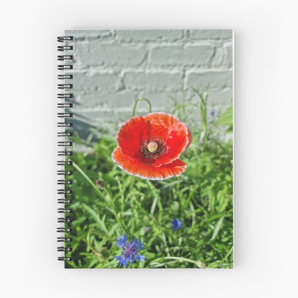 Item preview, Red Poppy Wildflower Photo  designed and sold by MenagerieMayhem.