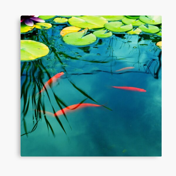 plaisir aquatique Canvas Print
