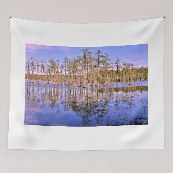 Item preview, Goodale State Park Cypress Trees Camden South Carolina designed and sold by LisaWootenPhoto.
