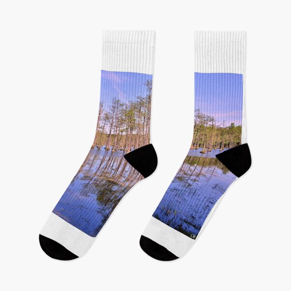 Item preview, Goodale State Park Cypress Trees Camden South Carolina designed and sold by LisaWootenPhoto.