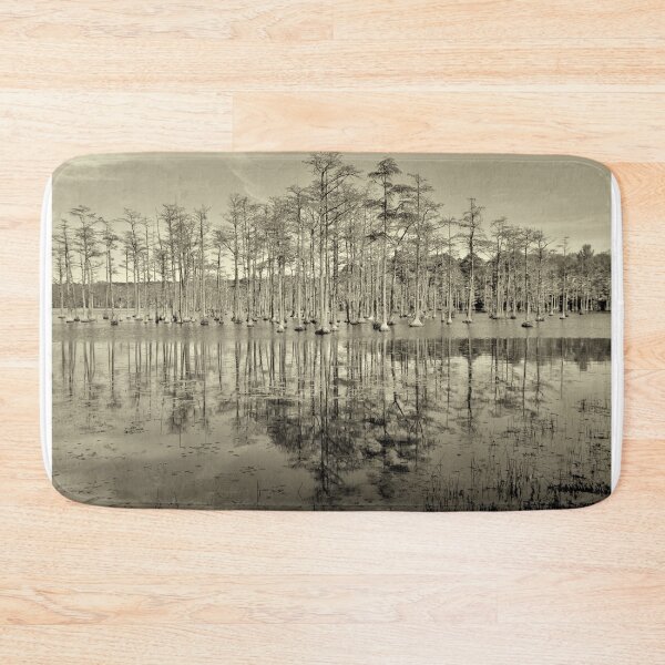 Item preview, Goodale State Park Cypress Trees Camden South Carolina Black And White designed and sold by LisaWootenPhoto.