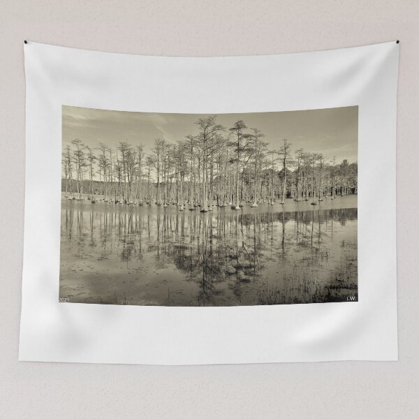 Item preview, Goodale State Park Cypress Trees Camden South Carolina Black And White designed and sold by LisaWootenPhoto.