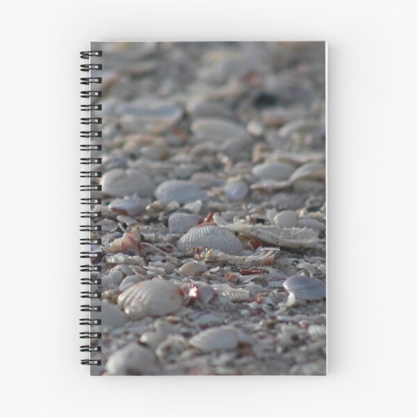 Item preview, Sea Shells on Sanibel II designed and sold by Michiale.