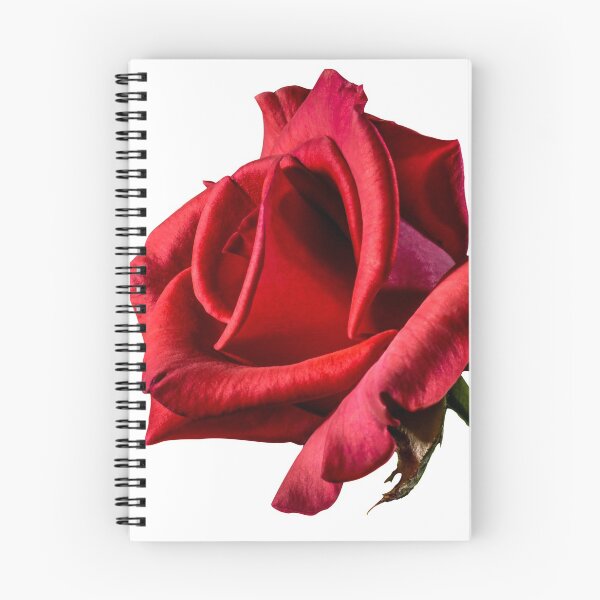 Item preview, ROSE designed and sold by atena200092.