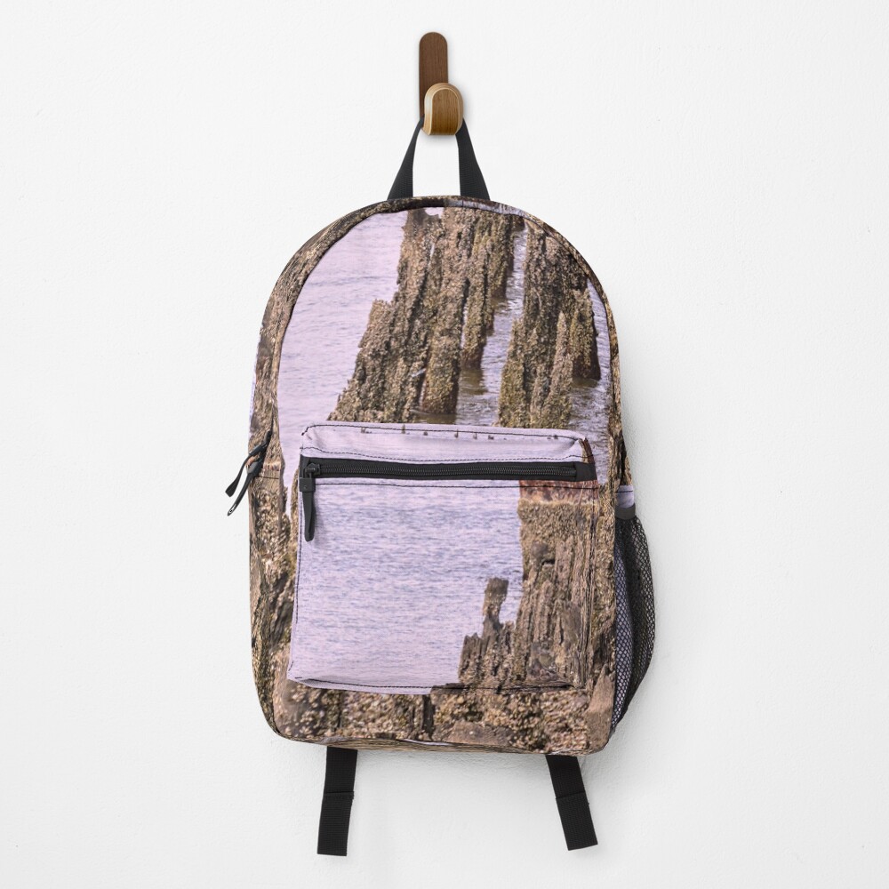 railroad backpack