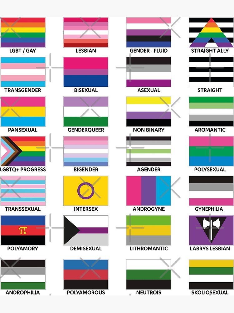 Disover LGBT FLAGS Premium Matte Vertical Poster