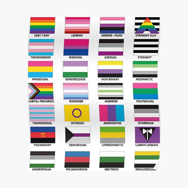 LGBT FLAGS Poster