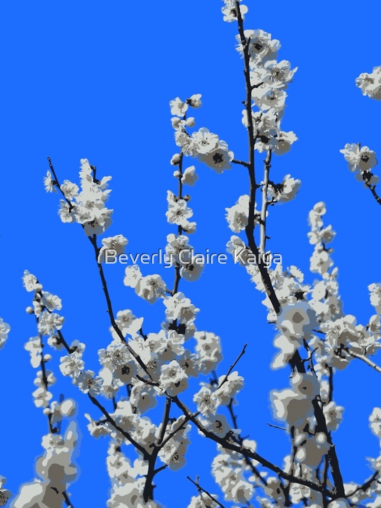 Beautiful White Umenohana Plum Blossoms Illustration by beverlyclaire