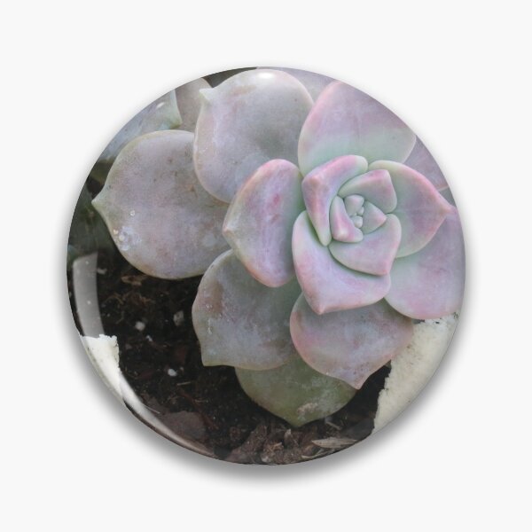 Item preview, Succulent Pillar designed and sold by Crystaliii.