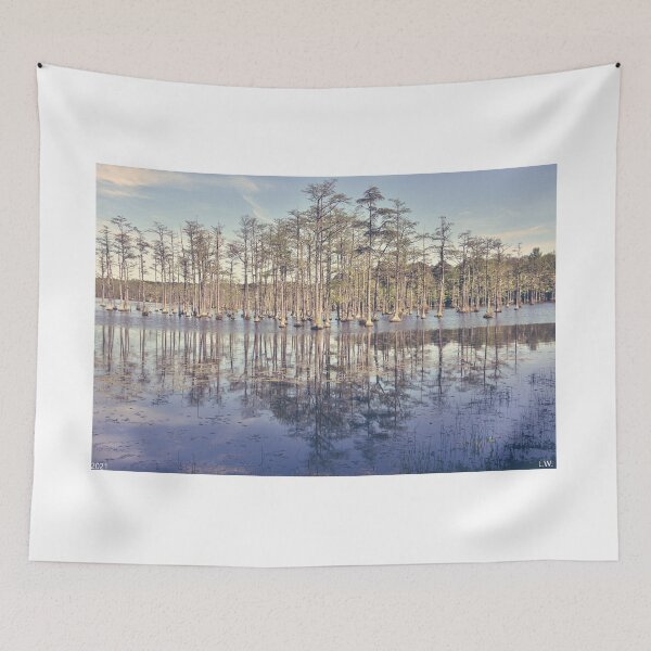 Item preview, Cypress Trees At Goodale State Park Camden South Carolina designed and sold by LisaWootenPhoto.