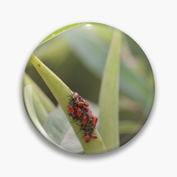 Item preview, Red Milkweed Beetles  designed and sold by Crystaliii.