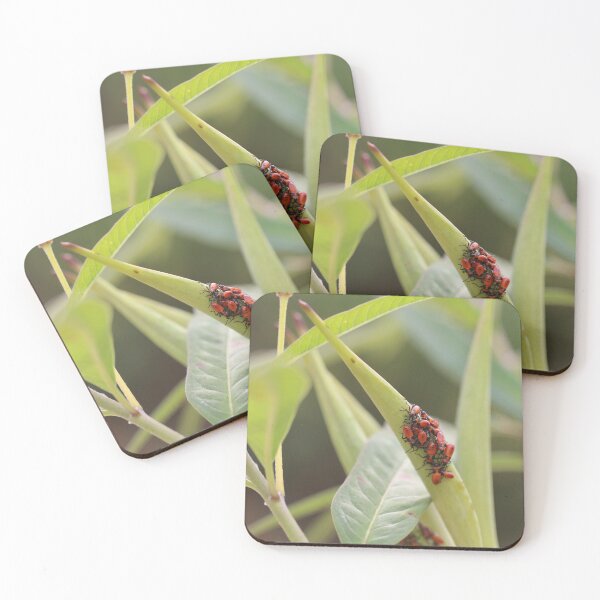 Item preview, Red Milkweed Beetles  designed and sold by Crystaliii.