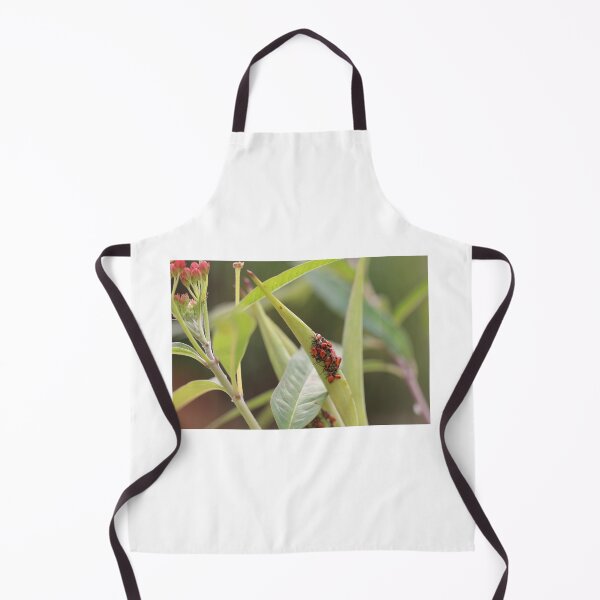 Item preview, Red Milkweed Beetles  designed and sold by Crystaliii.