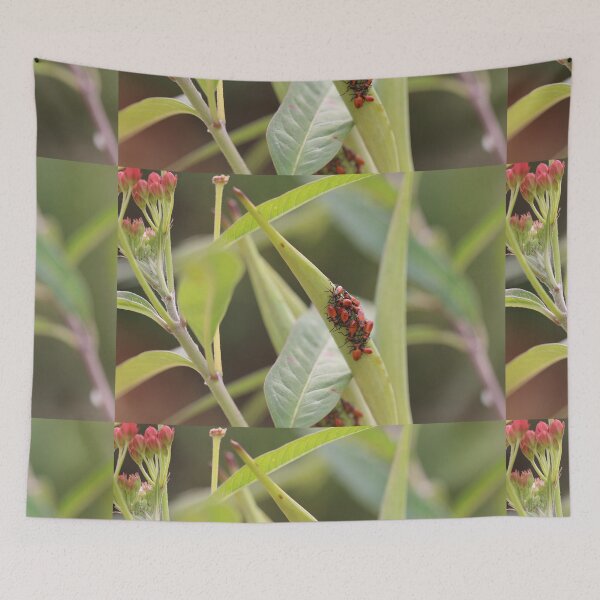 Item preview, Red Milkweed Beetles  designed and sold by Crystaliii.