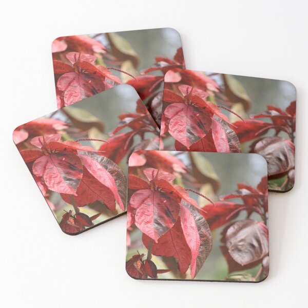 Item preview, Copperleaf designed and sold by Crystaliii.