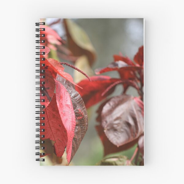 Item preview, Copperleaf designed and sold by Crystaliii.