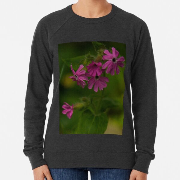 Pink Campion in Prehen Woods, Derry Lightweight Sweatshirt