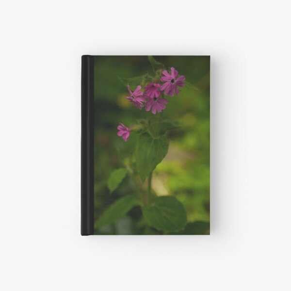 Pink Campion in Prehen Woods, Derry Hardcover Journal