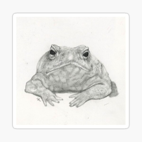 Realistic Frog Stickers for Sale