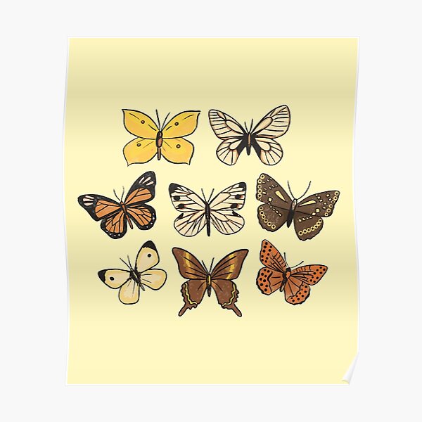 Butterflies  Poster